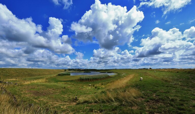 Een foto van een landschap met in het midden een waterplas omringd door dijken en graslanden waar schapen grazen. De lucht is blauw met wolken.