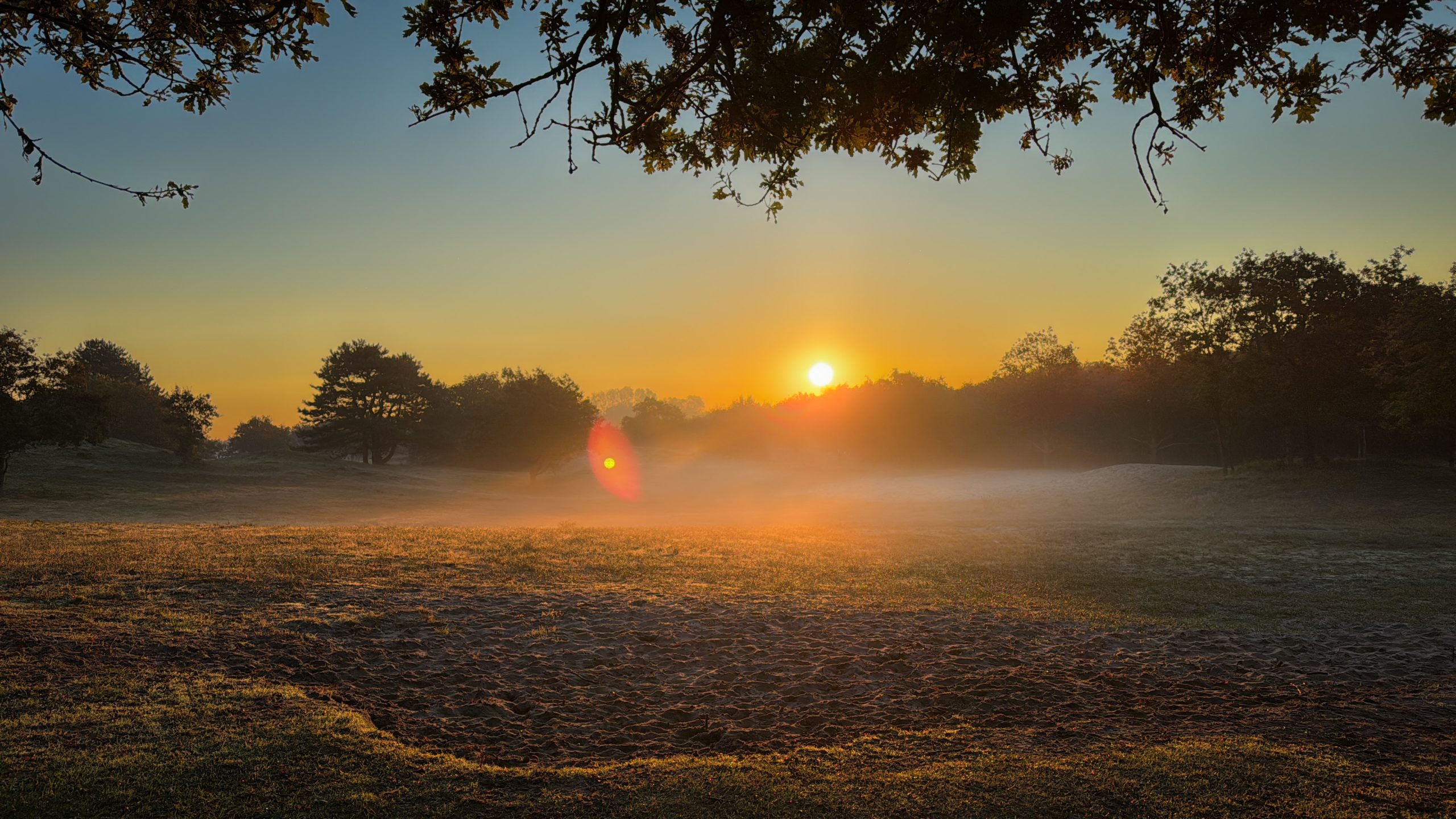 Een zonsopgang. Op de voorgrond grasland met een laaghangende mist. Op de achtergrond komt de zon op boven de bossen.